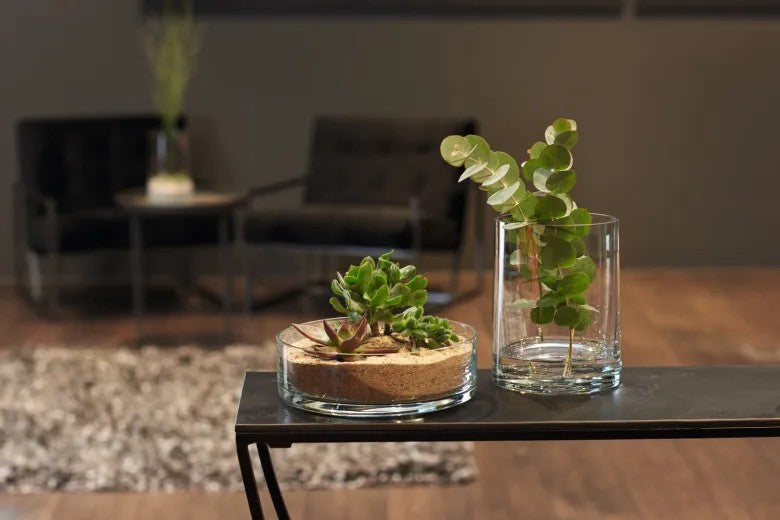 Leonardo Vas 19 Novara