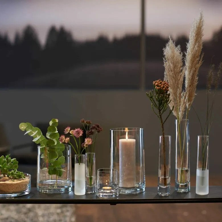 Leonardo Vas 26 Novara