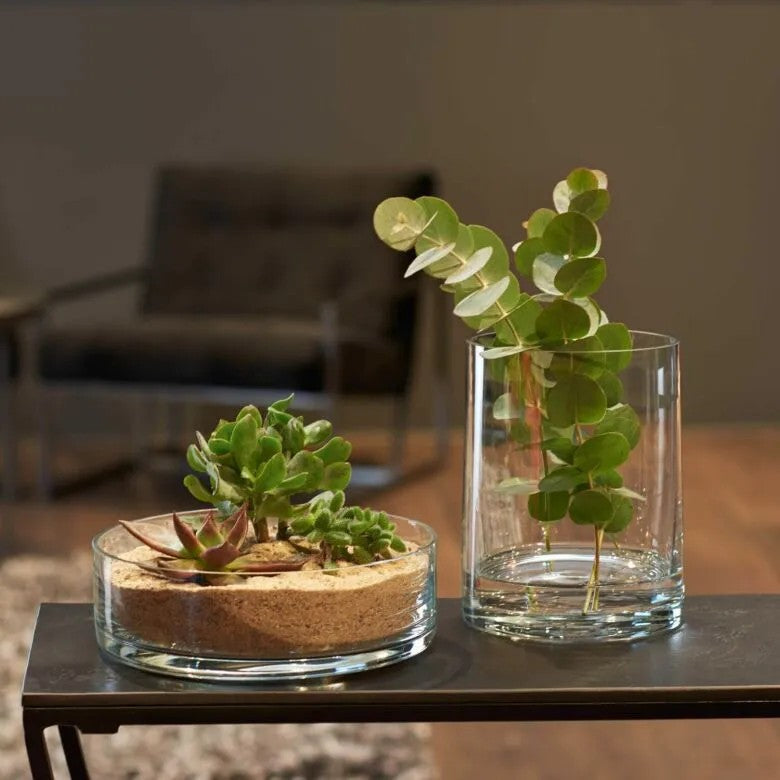 Leonardo Skål 22 Novara