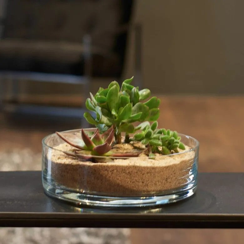 Leonardo Skål 22 Novara