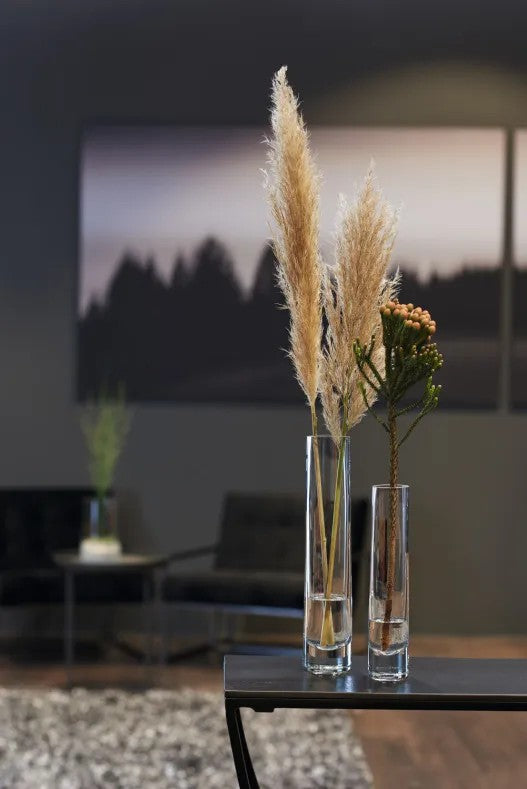 Leonardo Solifleur vas 24 Novara