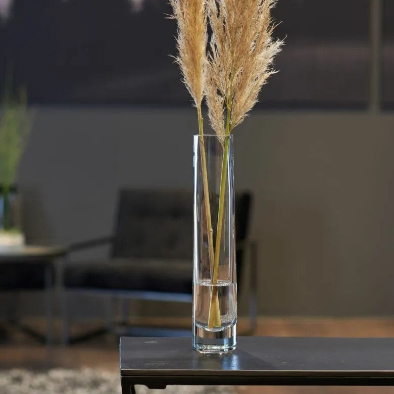 Leonardo Solifleur vas 30 Novara