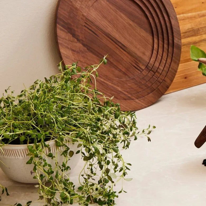 Spring Copenhagen Fat - Colosseum - Amfi