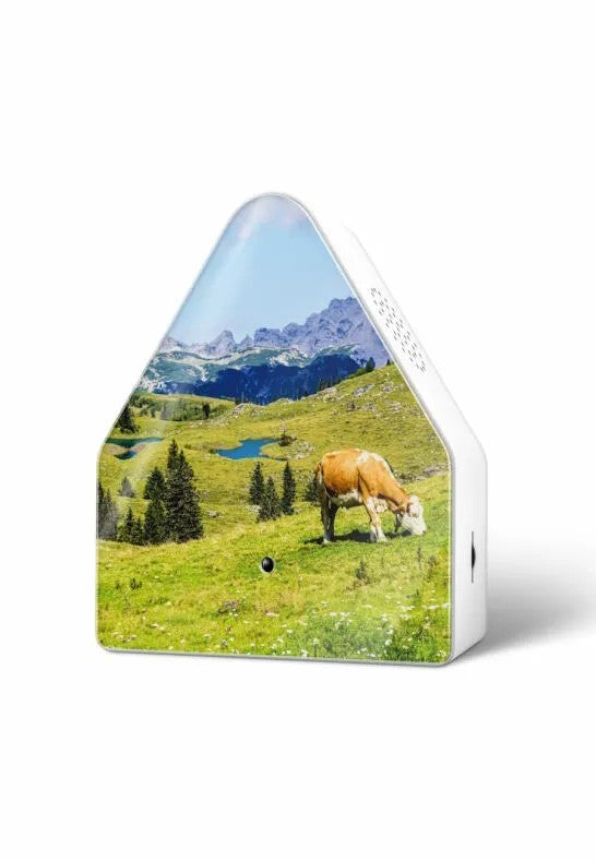 Relaxound Heidibox Speldosa Alperna Alpine Meadow