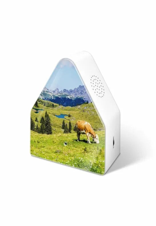 Relaxound Heidibox Speldosa Alperna Alpine Meadow