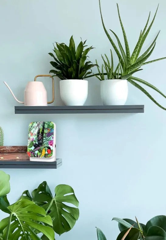 Relaxound Junglebox Speldosa Tropic