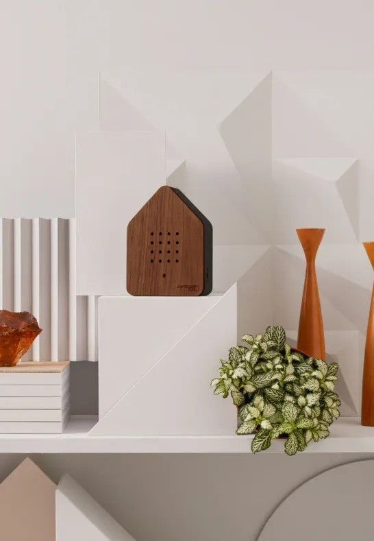 Relaxound Zwitscherbox Speldosa Fågelkvitter Valnöt