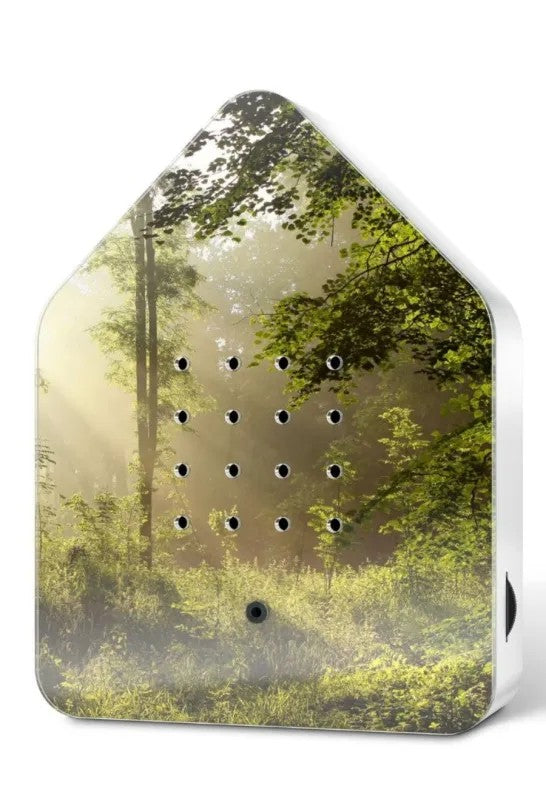 Relaxound Zwitscherbox Speldosa Fågelkvitter Sunbeam