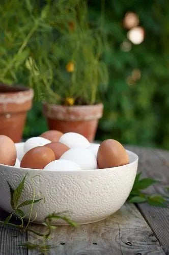 Cult Design Orient Servera Skålrik Vit