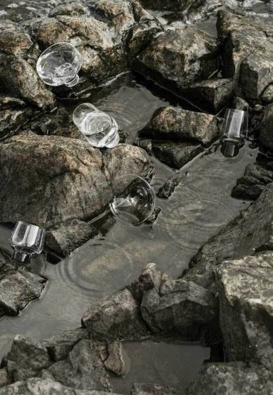 BLOMUS Koyoi Martiniglas 11 cl